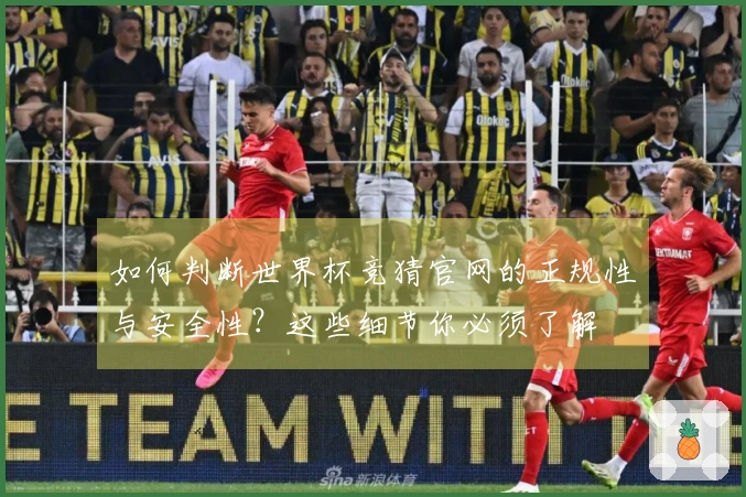 如何判断世界杯竞猜官网的正规性与安全性？这些细节你必须了解