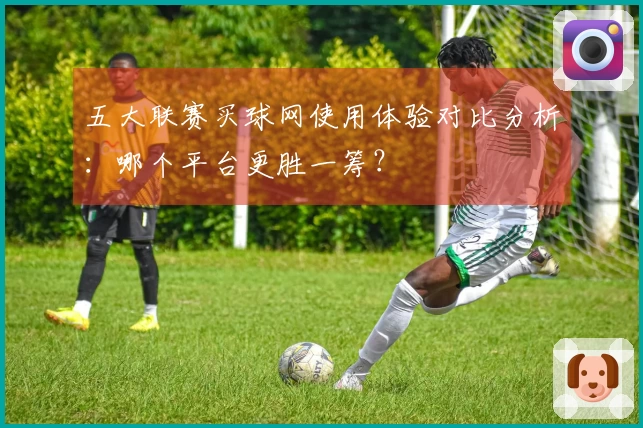 五大联赛买球网使用体验对比分析：哪个平台更胜一筹？