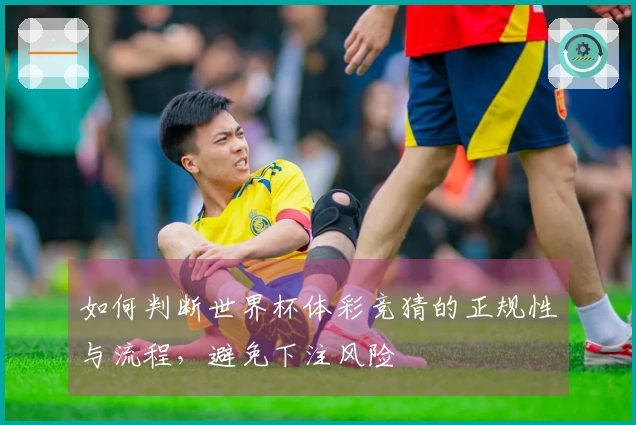 如何判断世界杯体彩竞猜的正规性与流程，避免下注风险