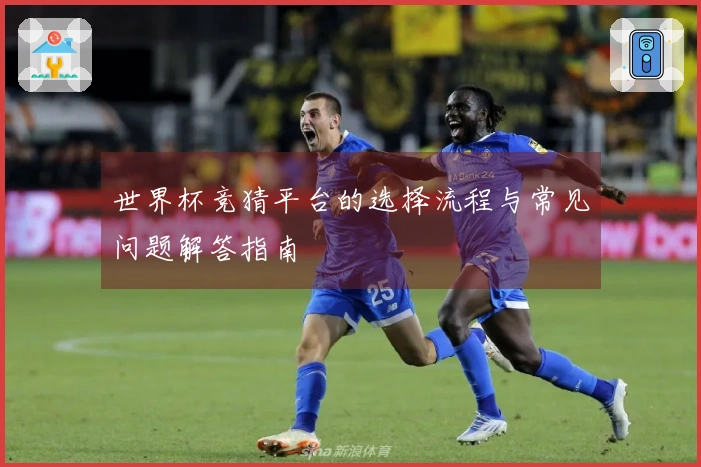 世界杯竞猜平台的选择流程与常见问题解答指南