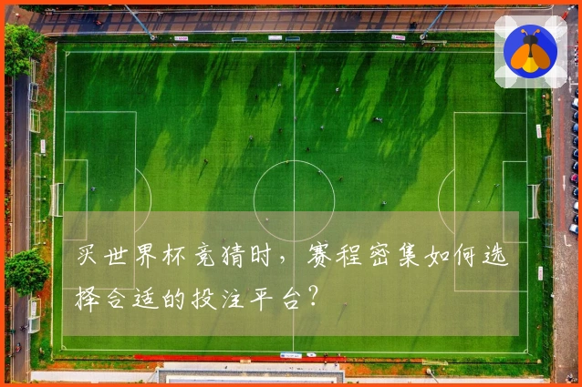 买世界杯竞猜时，赛程密集如何选择合适的投注平台？