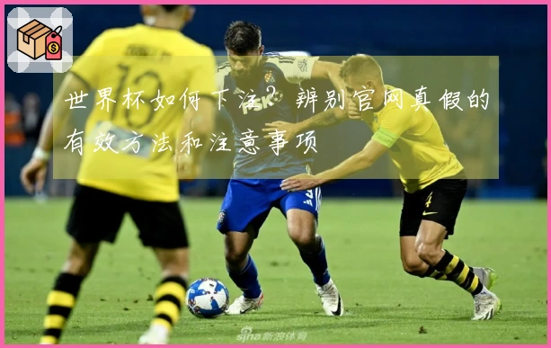 世界杯如何下注?辨别官网真假的有效方法和注意事项