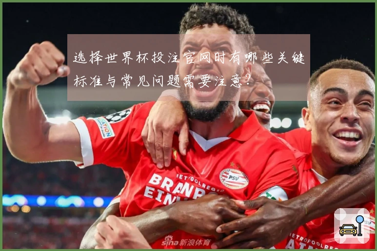 选择世界杯投注官网时有哪些关键标准与常见问题需要注意？