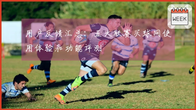 用户反馈汇总：五大联赛买球网使用体验和功能评测
