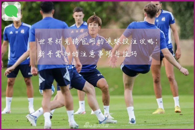 世界杯竞猜官网的滚球投注攻略：新手需知的注意事项与技巧